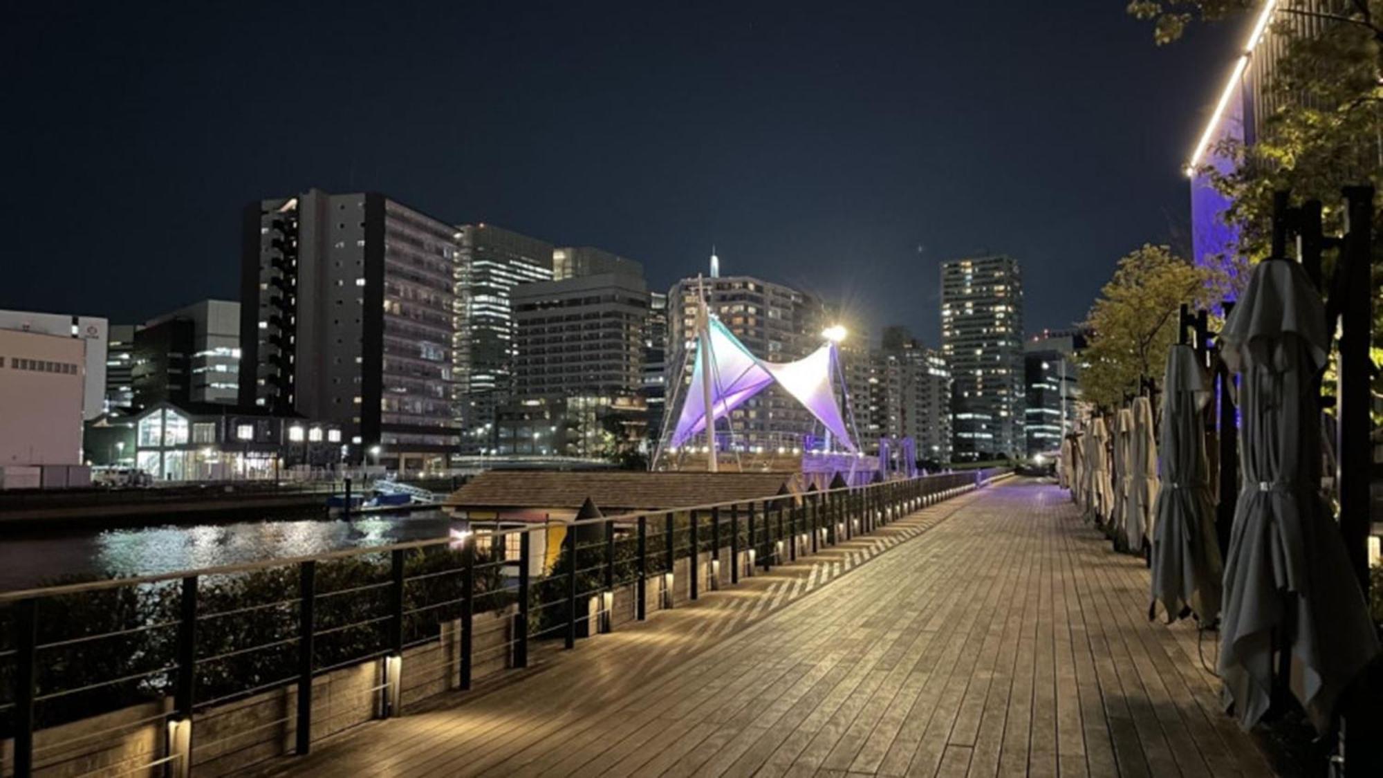 Toyoko Inn Tokyo Shinagawa Konan-Guchi Tennozu Isle Exterior photo